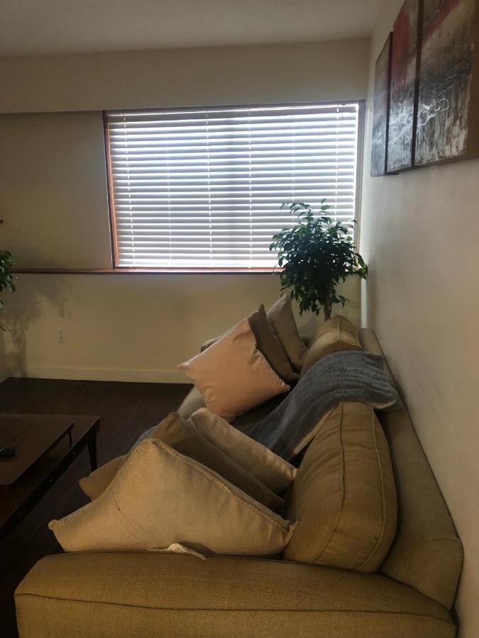 Hébergement de vacances Quiet-comfy 3 Bedroom On A Tree Lined Street In Kits